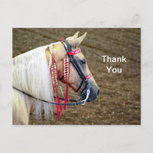 Carte Postale Beau Merci photo Palomino Horse