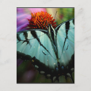 Carte Postale Beau Papillon Turquoise Swallowtail