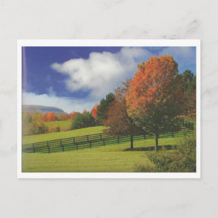 Carte Postale Beau paysage du Canada Niagara : Cadeau BASSE PRIX