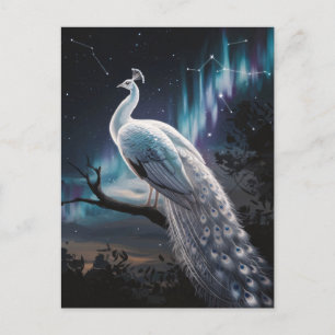 Carte Postale Beau Peacock Blanc Aurora Borealis Pittoresque