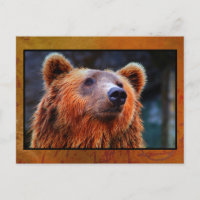 Beau Portrait d'ours Brown Faune Photo