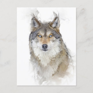 Carte Postale Beau portrait Wolf