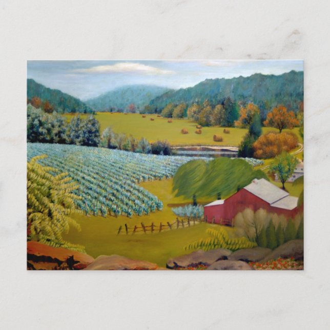 Carte Postale Beau vignoble sur Augusta Missouri Farm (Devant)