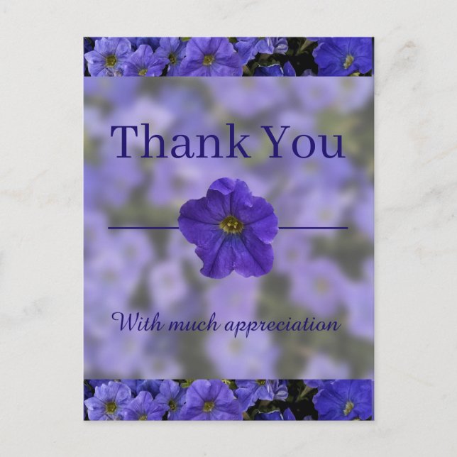 Carte Postale Beau Violet Bleu Petunias Merci (Devant)