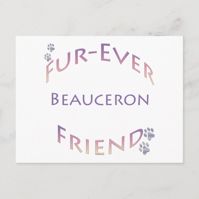 Carte Postale Beauceron Furever (Devant)