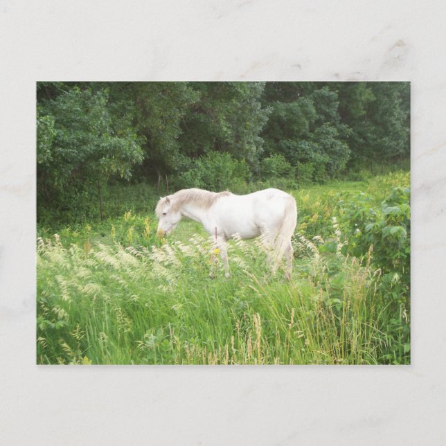 Carte Postale Beauté (Devant)