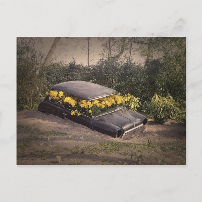 Carte Postale Beauté abandonnée (Devant)