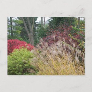 Carte Postale Beauté d'automne en Ohio