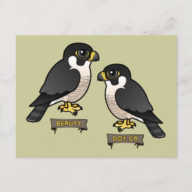 Carte Postale Beauté & Dot.Ca (Devant)