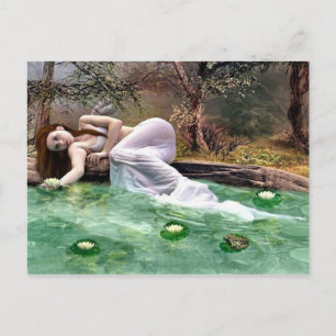 Carte Postale Beauté du nénuphar