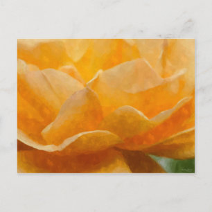 Carte Postale Beauté D'Un Rose