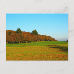 Carte Postale Beauté étranges arbres dorés