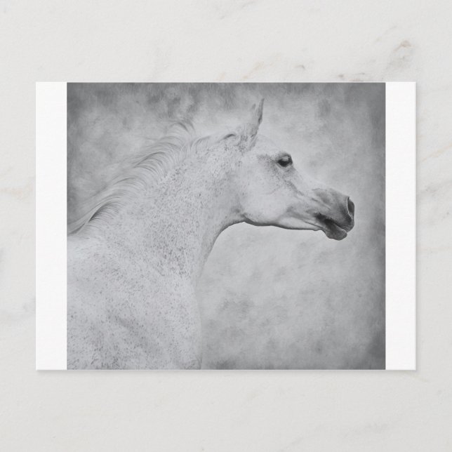 Carte Postale Beauté intemporelle (Devant)