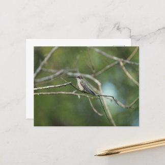 Carte Postale Beauté subtile