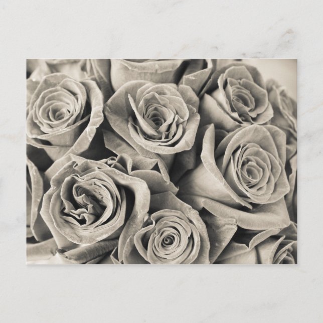 Carte Postale Beauté velours vintage (Devant)