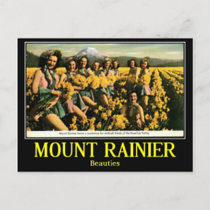 Carte Postale Beautés en vallée de Puyallup, cru