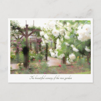Carte Postale Beautiful Rose Garden