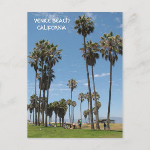 Carte Postale Beautiful Venice Beach Postcard !