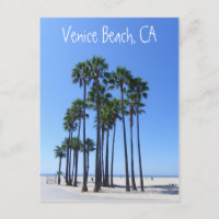 Beautiful Venice Beach Postcard !