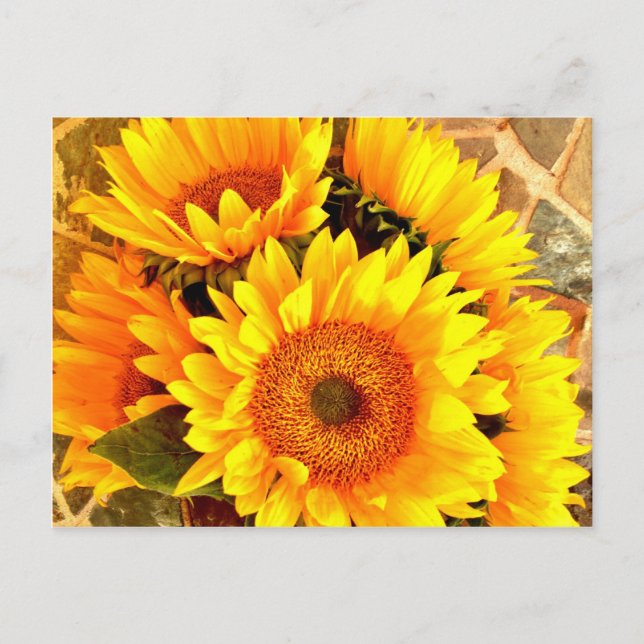 Carte Postale Beaux cadeaux de bouquet de tournesol (Devant)