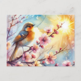 Carte Postale Beaux oiseaux Paysage de printemps 17