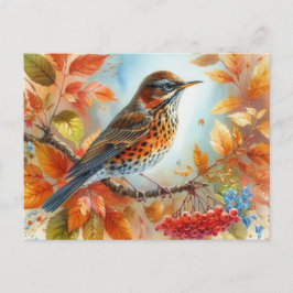 Carte Postale Beaux oiseaux Paysage d'été 9