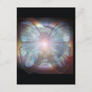 Carte Postale Beaux papillons