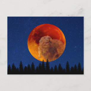 Carte Postale Beaver Moon en novembre