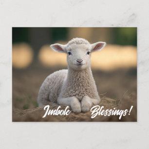 Carte Postale Bébé agneau Imbolc Bénédictions