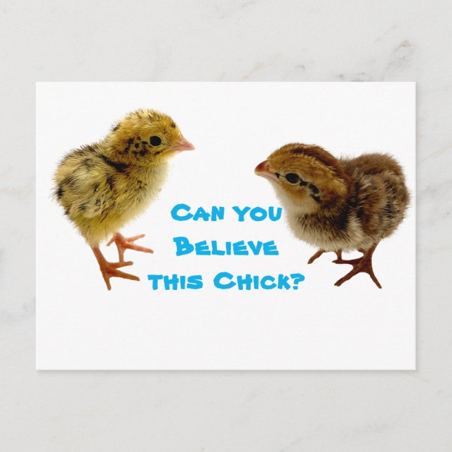 Carte Postale Bébé Chick Quail (Devant)
