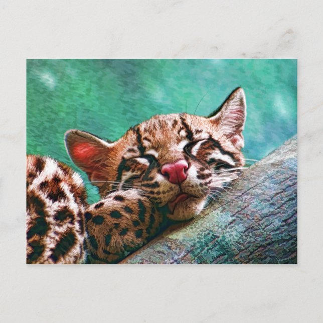 Carte Postale Bébé dormant mignon Ocelot Kitten (Devant)