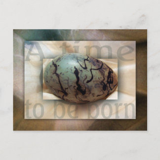 Carte Postale Bébé garçon