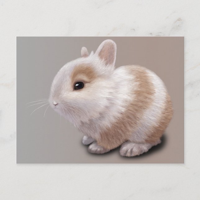 Carte Postale Bébé Lapin (Devant)