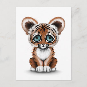 Carte Postale Bébé mignon tigre avec yeux bleus sur blanc