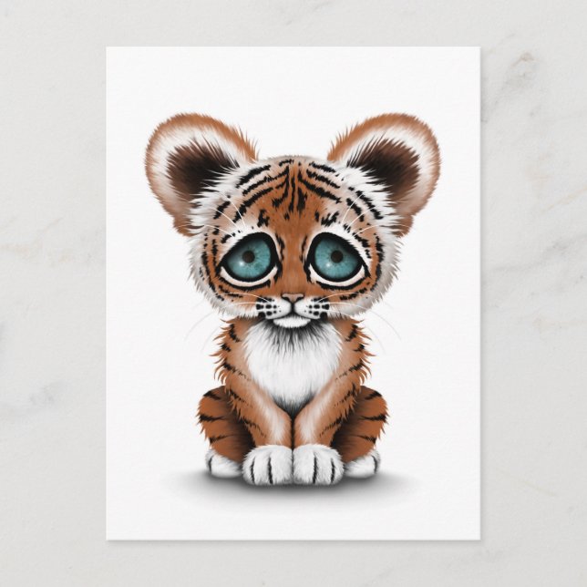 Carte Postale Bébé mignon tigre avec yeux bleus sur blanc (Devant)