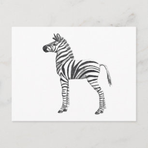 Carte Postale Bébé mignon Zebra Dessin