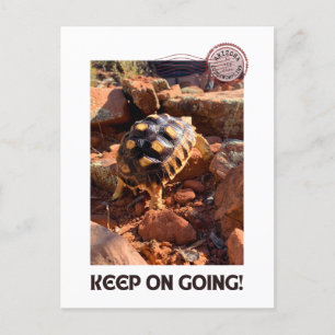 Carte Postale Bébé Sulcata randonnée à Sedona Red Rocks Arizona