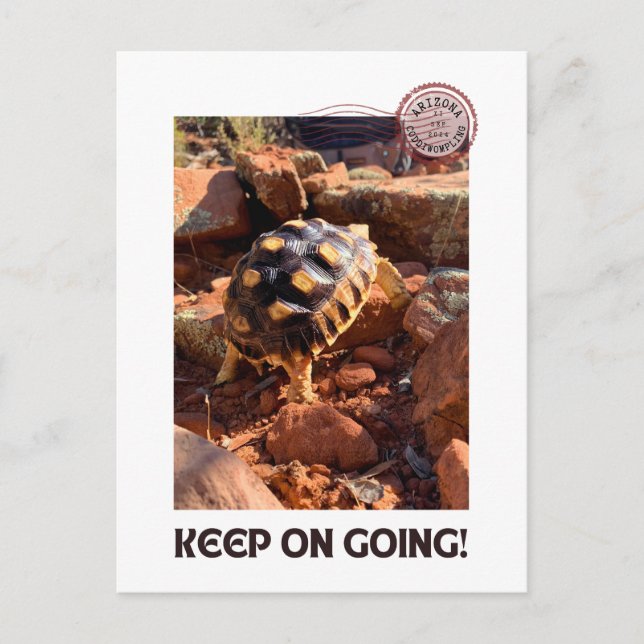 Carte Postale Bébé Sulcata randonnée à Sedona Red Rocks Arizona (Devant)