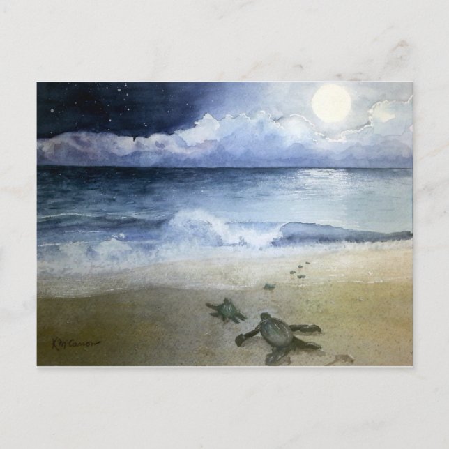 Carte Postale Bébé tortues de mer éclosion à la nuit (Devant)
