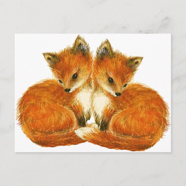 Carte Postale Bébé Twin Foxes (Devant)