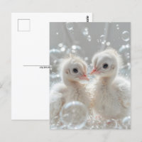 Bébés de paon blanc, Post-croisement