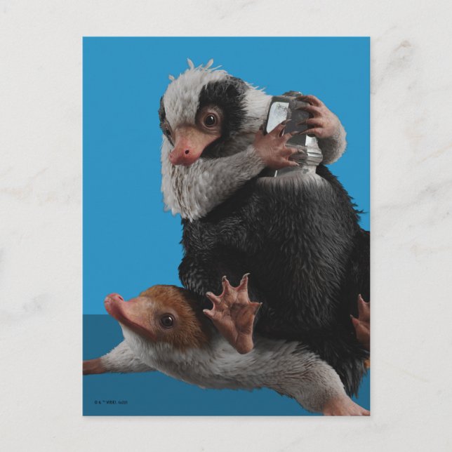 Carte Postale Bébés Nifflers Trouvent Un Prix (Devant)