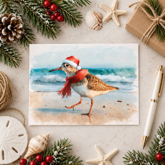 Carte Postale Bécasseau de Noël à la plage