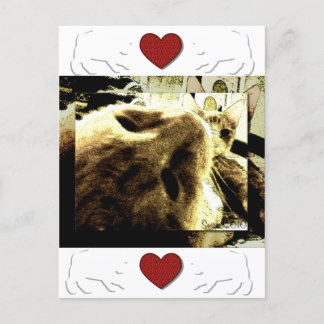 Carte Postale "Bedfellows" par Suan S'Katra