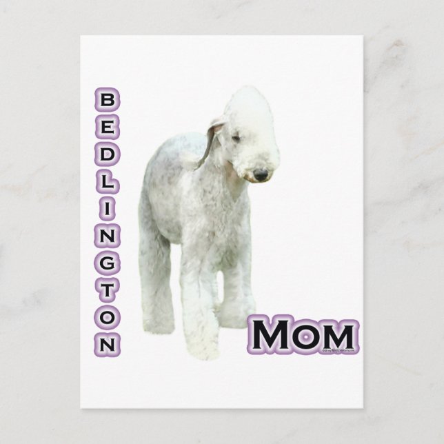 Carte Postale Bedlington Terrier Maman 4 (Devant)