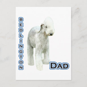 Carte Postale Bedlington Terrier Papa 4