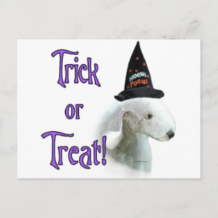 Carte Postale Bedlington Terrier Trick