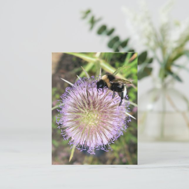 CARTE POSTALE BEE ET FLEURS (Debout devant)