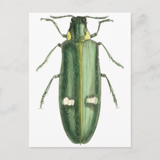 Carte Postale Beetle à revêtement métallique en bois