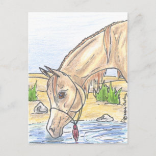 Carte Postale "Bejh bint Ahwa"